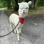 Zacisze Dom Superior 90m2 - Fala - Mierzeja - Wydma Nyaraló *
