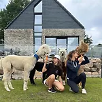 Zacisze Dom Superior 90m2 - Fala - Mierzeja - Wydma Ulinia