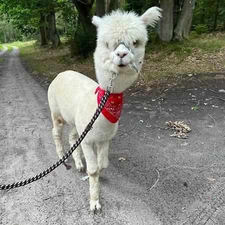 Zacisze Dom Superior 90m2 - Fala - Mierzeja - Wydma Hébergement de vacances *