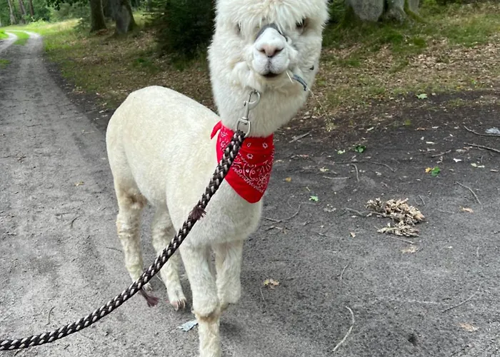 Zacisze Dom Superior 90m2 - Fala - Mierzeja - Wydma Semesterbostad *