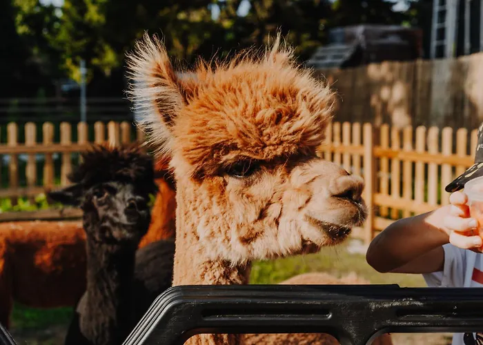 Дом отдыха Zacisze Dom Superior 90m2 - Fala - Mierzeja - Wydma